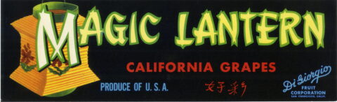 Magic Lantern